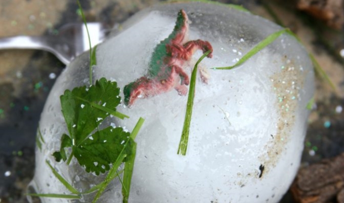 ovos de dinossauro congelados5